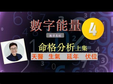 生氣延年|乾貨：數字磁場能量組合解析――生氣和延年組合